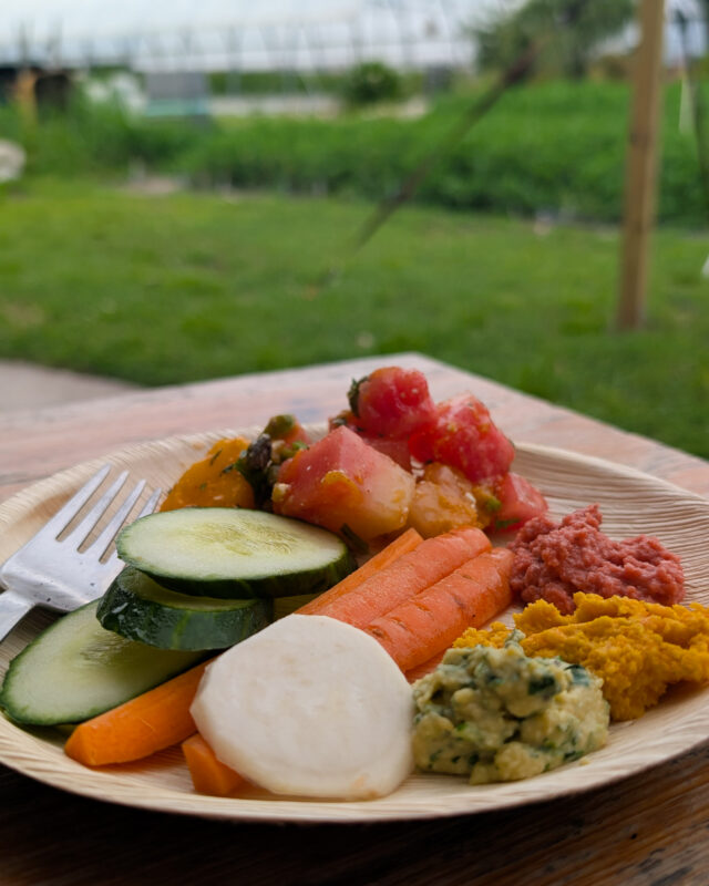 A plate of fresh veggies, dips, and salad sits on a table with a farm field in the background.