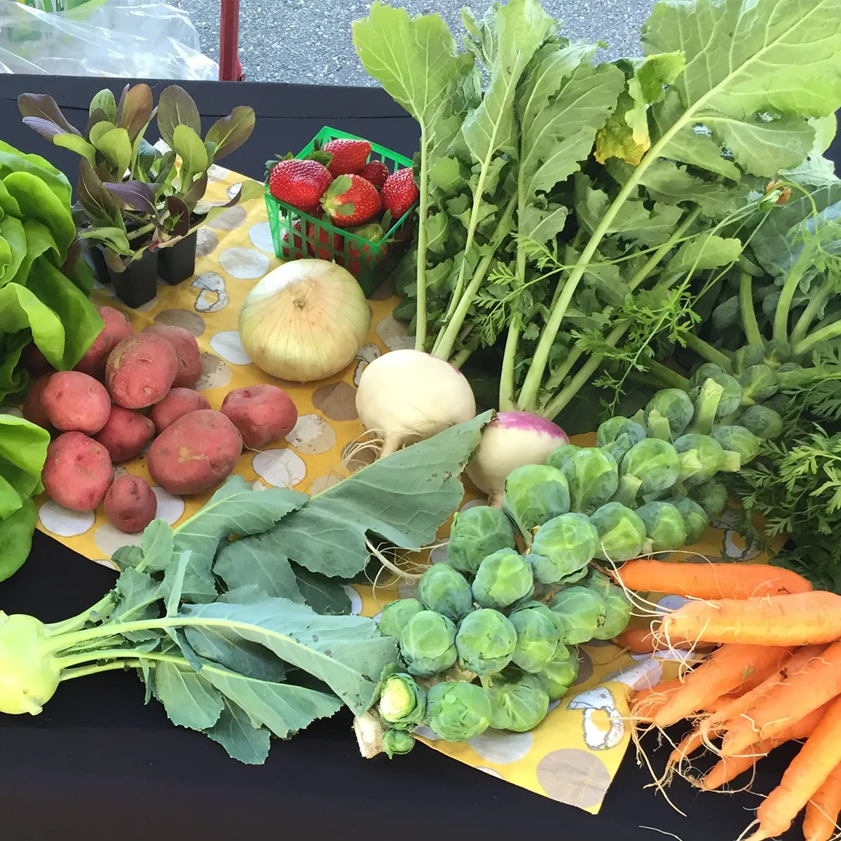 A display of fresh vegetables: lettuce, potatoes, carrots, onions, radishes, strawberries, and Brussels sprouts.